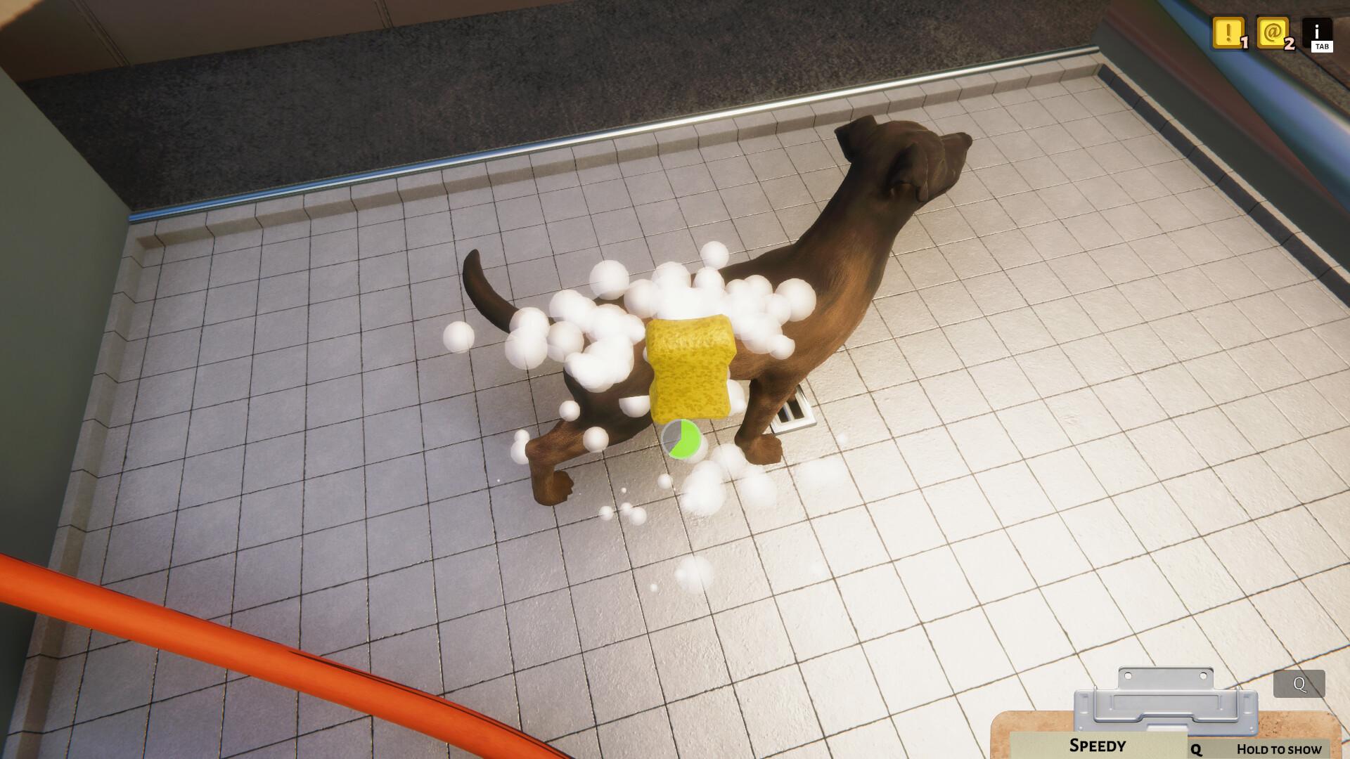 Animal Shelter – screenshot 2