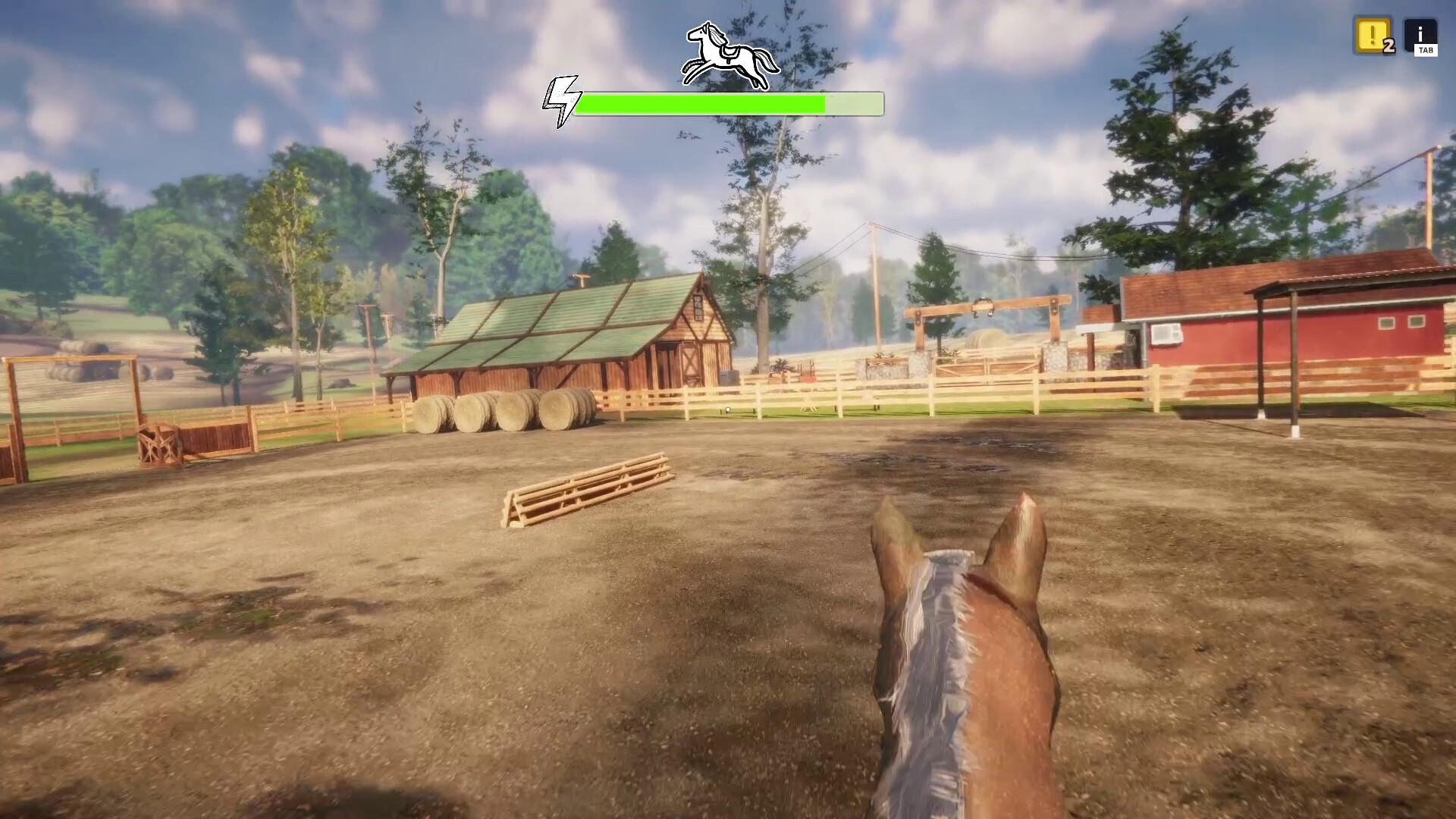 Animal Shelter - Horse Shelter DLC – screenshot 2