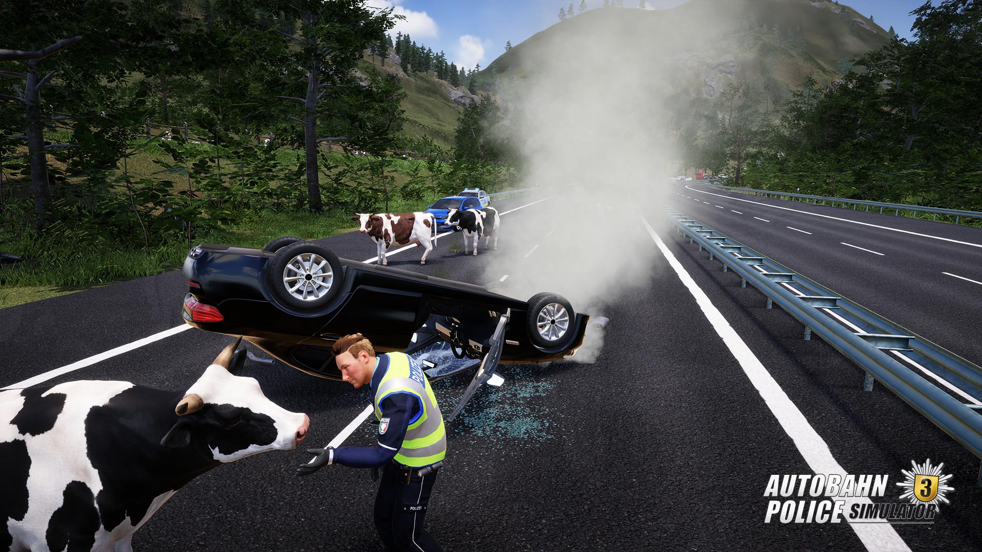 Autobahn Police Simulator 3 – screenshot 2