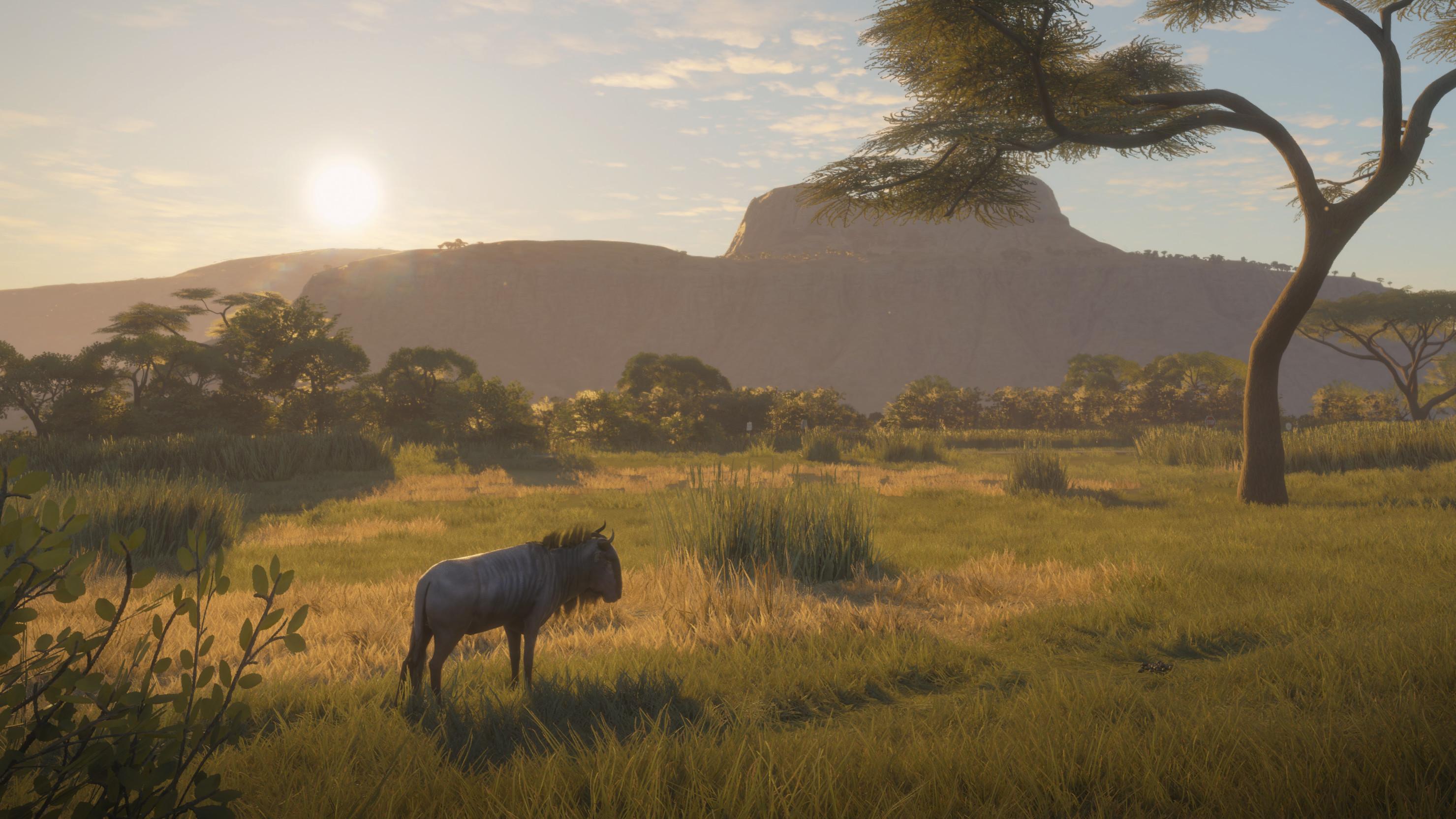 theHunter: Call of the Wild™ - Vurhonga Savanna – screenshot 2