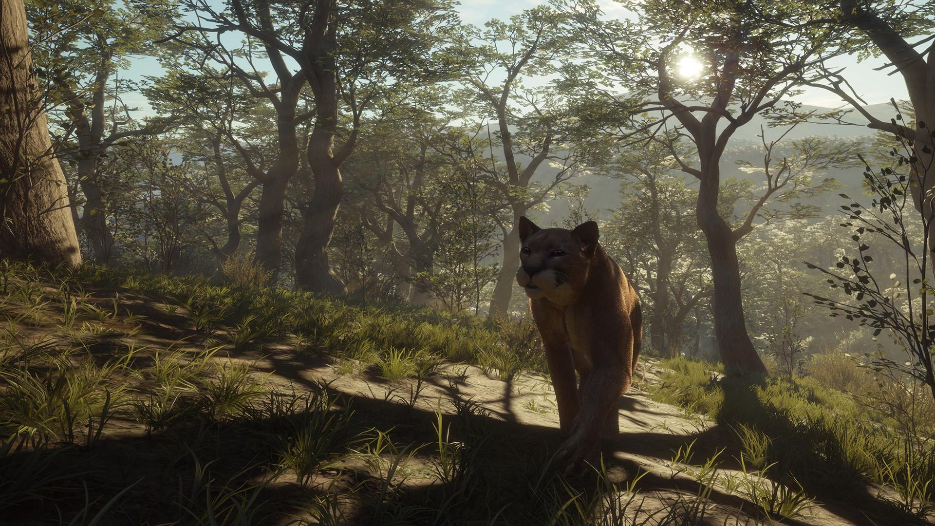 theHunter: Call of the Wild™ - Parque Fernando – screenshot 2