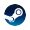 steam